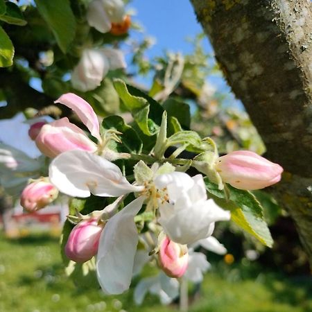 ואקסהולם Sommarvilan מראה חיצוני תמונה